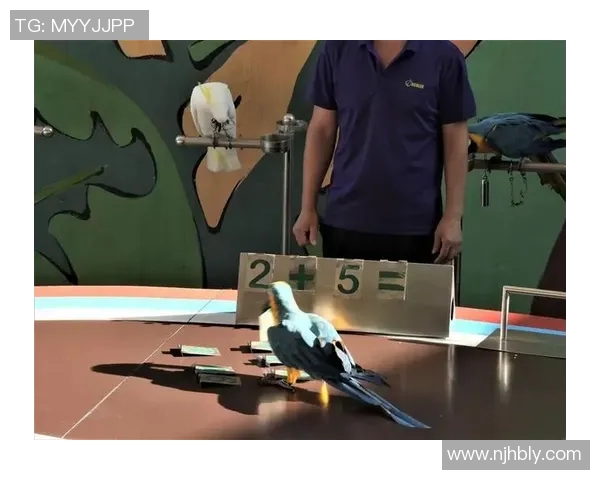 鹦鹉足球明星名字大全揭秘你不知道的那些球星背后的故事